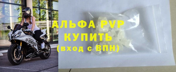 стафф Белокуриха